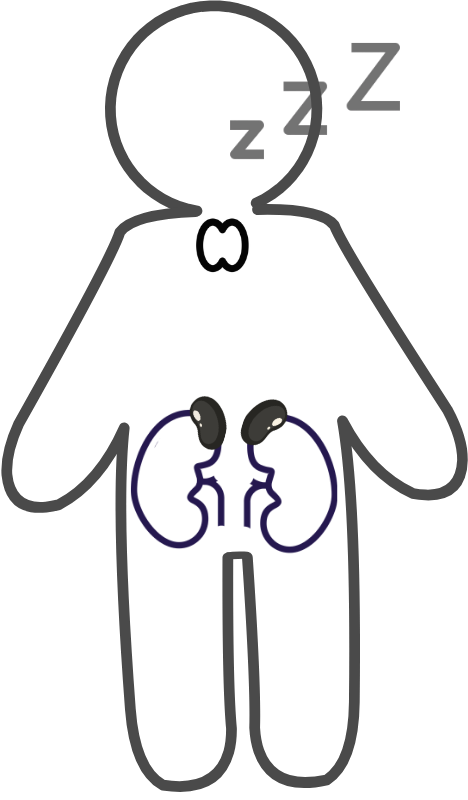 secondaryht